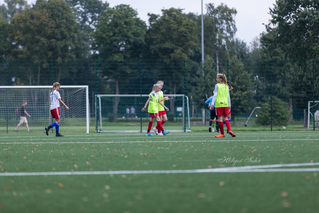 Bild 347 - C-Juniorinnen HSV - Walddoerfer : Ergebnis: 9:1